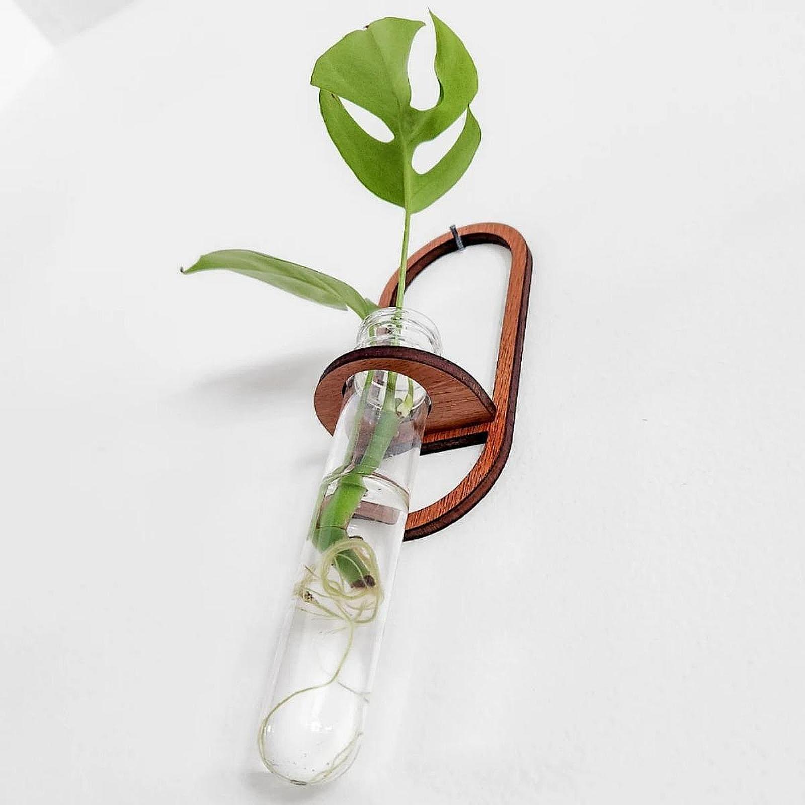 Hydroponic Plant Vase Wooden W - Propagation Station Vase recension och pris