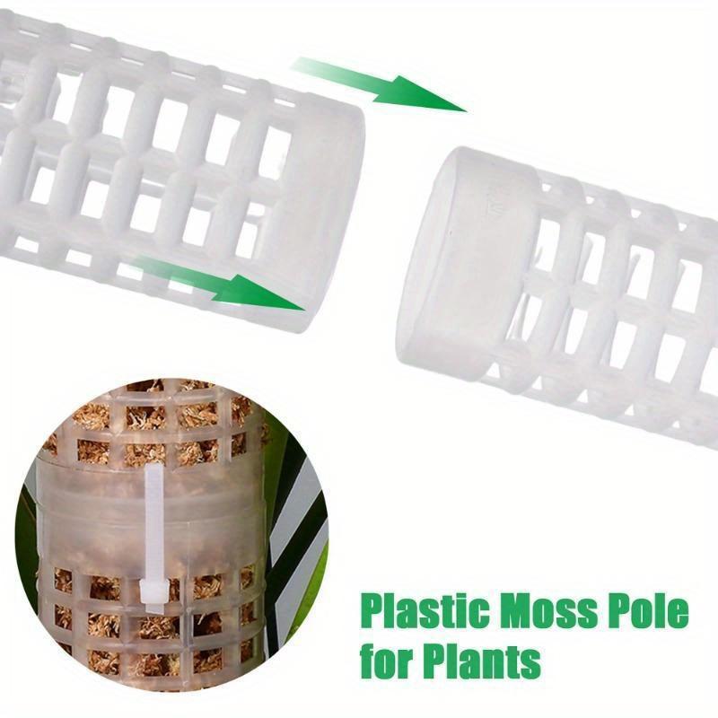 Plant Climbing Column Sphagnum - Sphagnum Moss Dry recension och pris