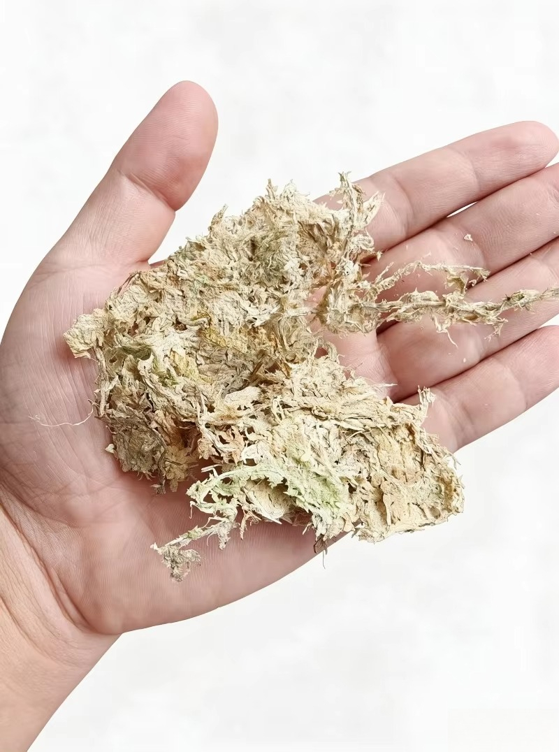 Premium Sphagnum Moss for Orch - Sphagnum Moss Dry recension och pris