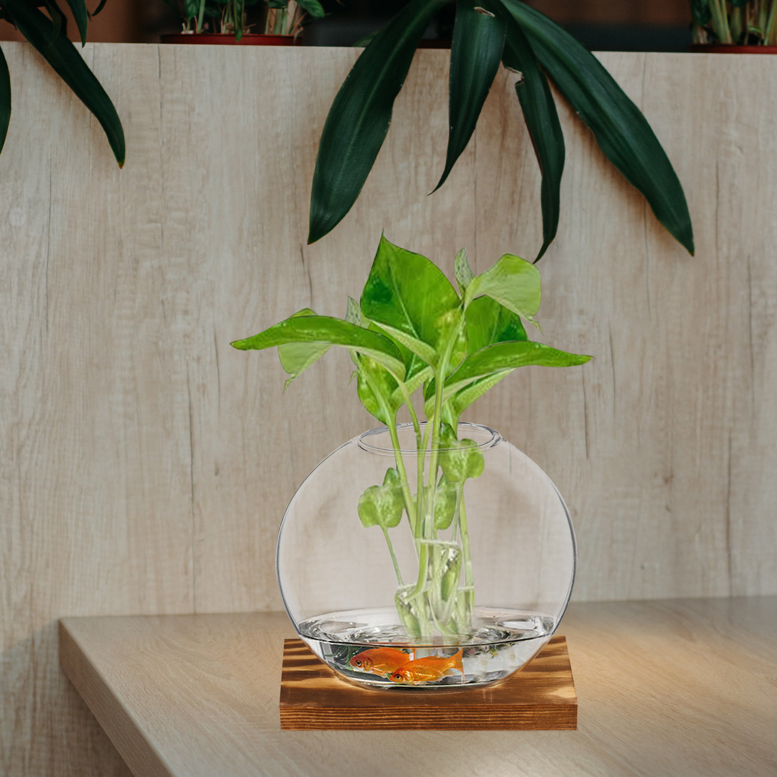 2Sets Glass Small Plant Vase F - Propagation Station Vase recension och pris