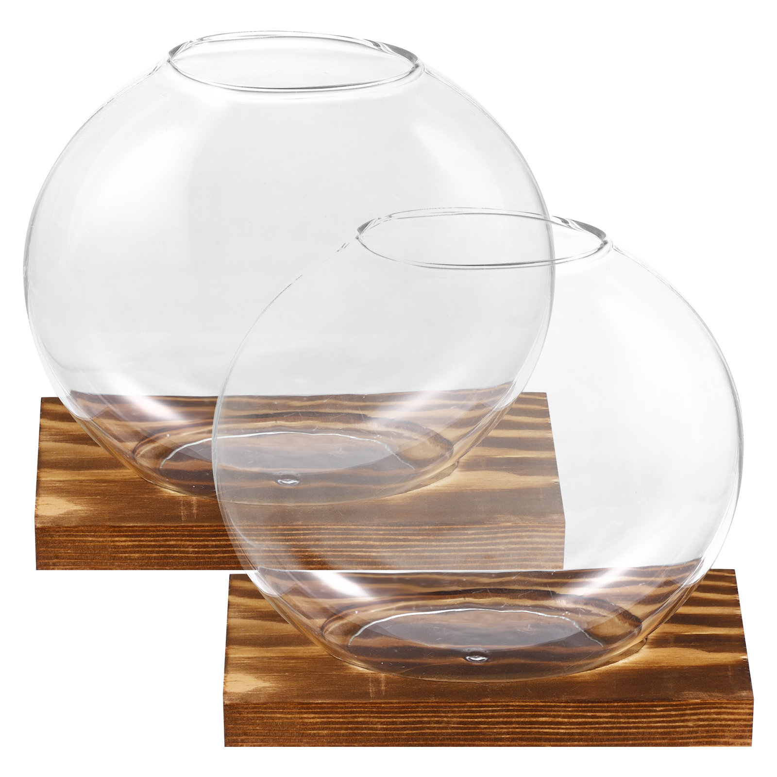 2Sets Glass Small Plant Vase F - Propagation Station Vase recension och pris